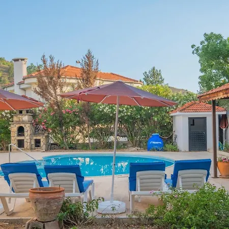 Villa Infinity Ladybird